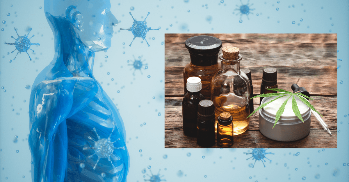 cbd immune system