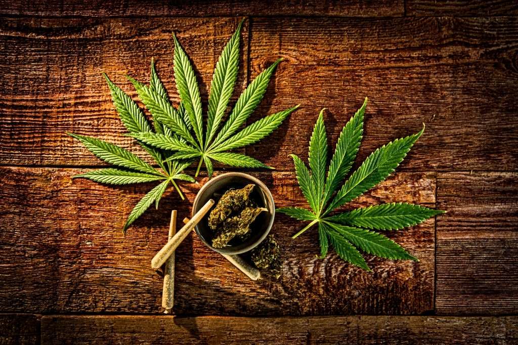 marijuana-new-york