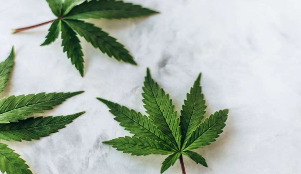 buying cbd tips