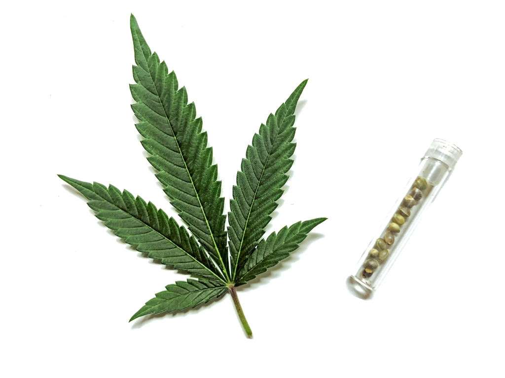 cbd-buying-tips