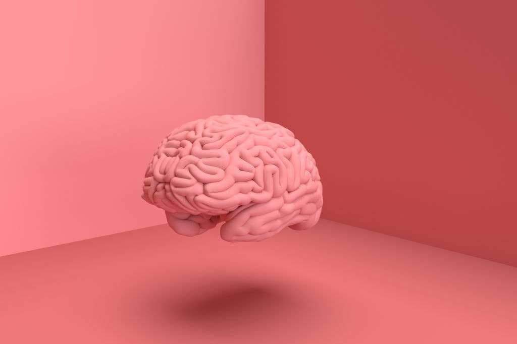 endocannabinoids