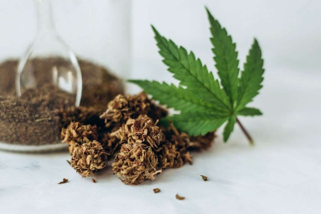 cbd distributor