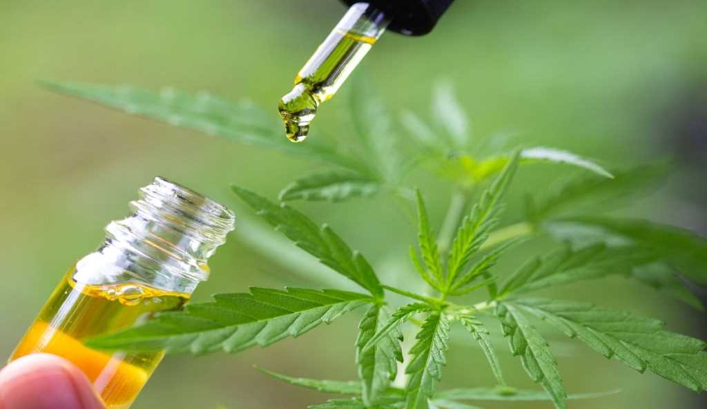 pure cbd