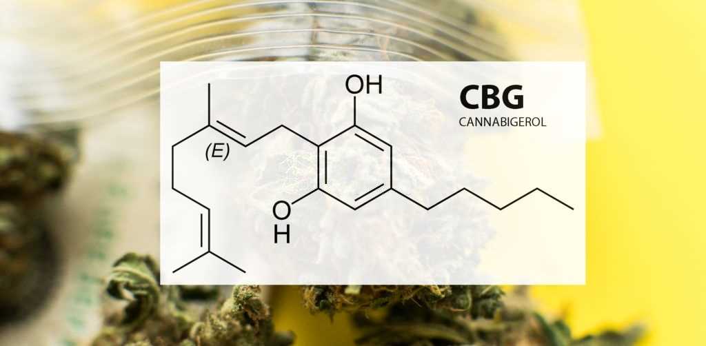 cannabigerol