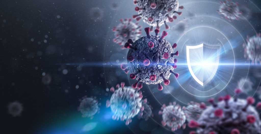 CBD and the Immune System
